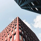 15470129-3bc3-4979-94ab-96fa2d60e445-загруженное (1).jpg